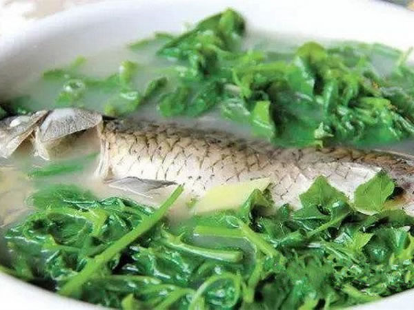 11.簕菜鯽魚(yú)湯.jpg