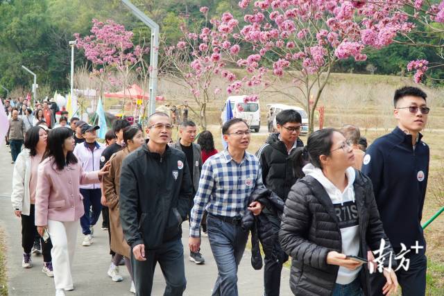 一邊享受徒步的樂趣，一邊感受鰲峰山桃花灼灼的美妙冬景。